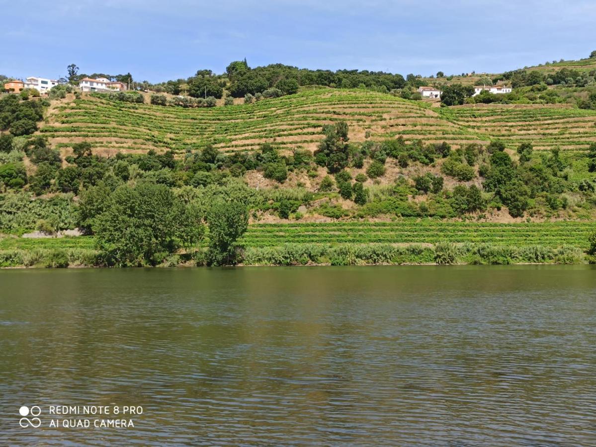 Vineyards Valley House Villa Penajoia Buitenkant foto