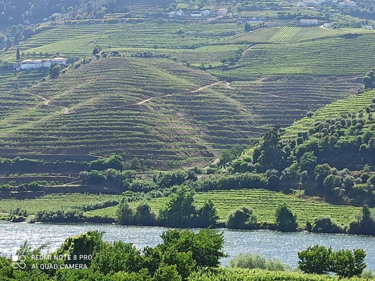 Vineyards Valley House Villa Penajoia Buitenkant foto