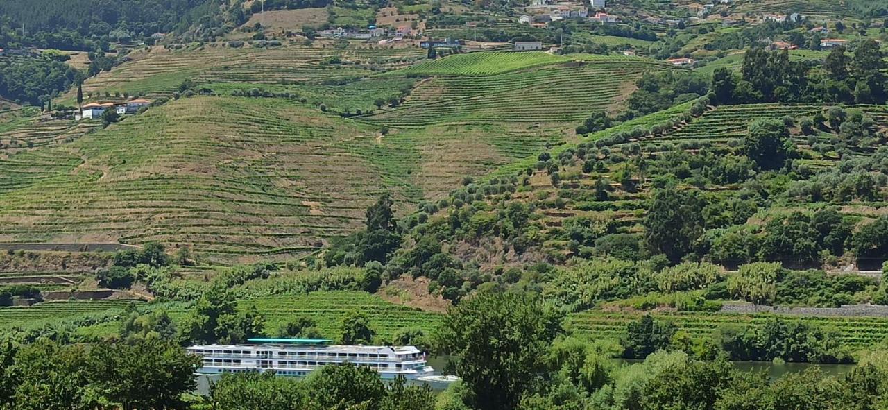 Vineyards Valley House Villa Penajoia Buitenkant foto